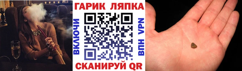 ГАШ Изолятор  блэк спрут   Полесск 