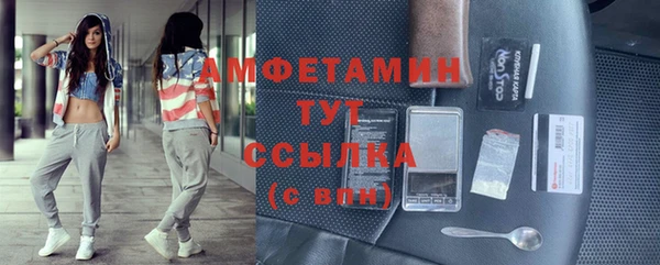 ГАЛЛЮЦИНОГЕННЫЕ ГРИБЫ Алзамай