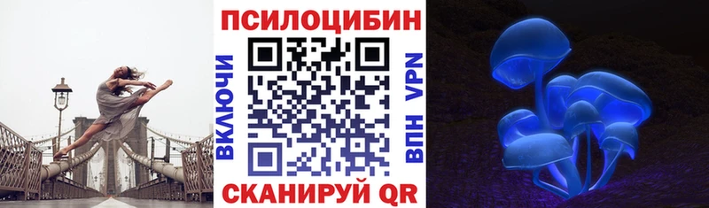 Галлюциногенные грибы GOLDEN TEACHER  где купить наркотик  Полесск 